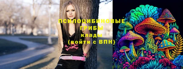 Альфа ПВП Арсеньев