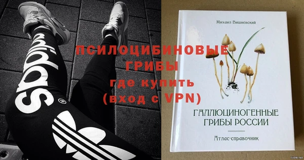 спайс Аркадак